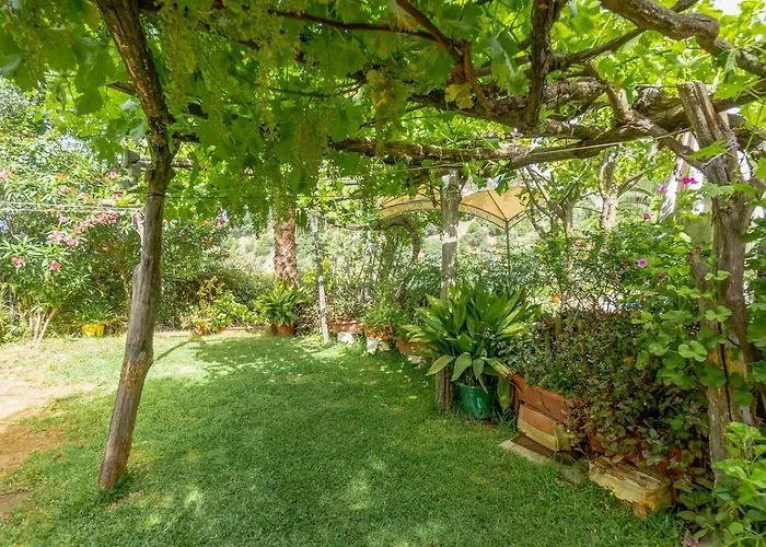 Vila Casa El Olivarito By Ruralidays Jubrique